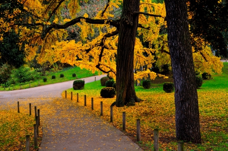 Autumn - nature, autumn, fall, trees, alley, park, leaves, autumn splendor