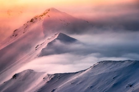 Fog - Landscape, mountains, nature, fog