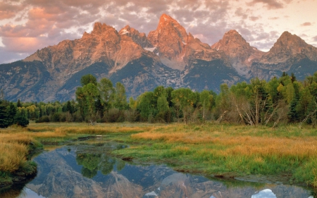 grand teton national park - tree, mountain, grass, creek