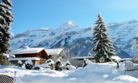 Beautiful Place - house, winter, mountains, tree