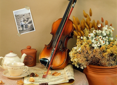 Music Still Life - flowers, music, instrument, violin, photography, string, tea, still life