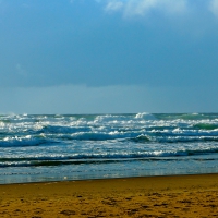 Sand And Surf