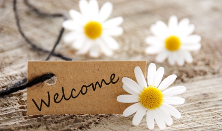 Welcome - flowers, daisies, soft, welcome