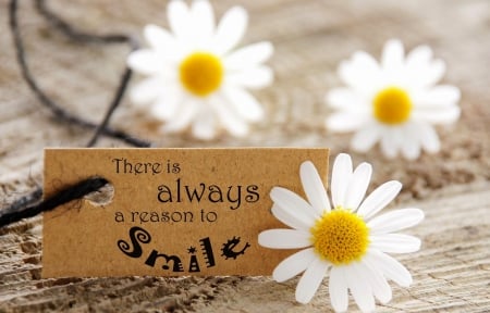 â™¥There is always a reason to smileâ™¥ - flowers, daisies, pure, soft