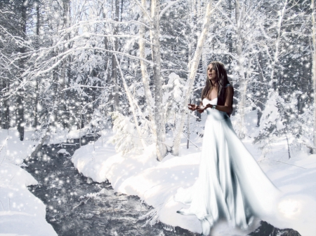 A Winter's Day With Sarah - Sarah Brightmn, Singer, Opera, Classical Music