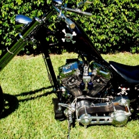 Harley Davidson