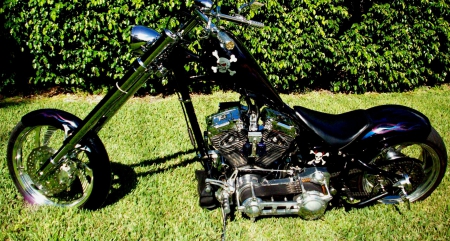 Harley Davidson - harley, chopper, motorcycle, bike