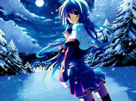 Winter Time - winter, anime, snowing, snow