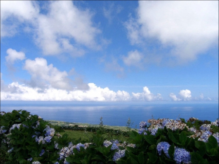 Au bord de la mer - mer, bleu, ocean, borde, oceano, bord, border, cielo, azul, sky