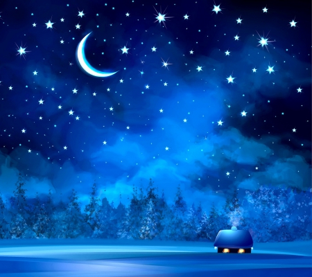 Falling Stars Christmas - moon, stars, trees, winter, night, snowflakes, christmas, abstract, woods, snow, blue, house