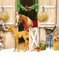 Christmas at the Stable F2mp