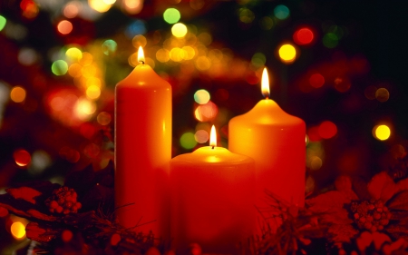 Christmas Flames - christmas, flames, xmas, holiday