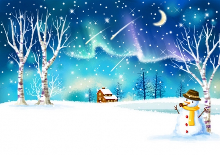 Lonely snowman - snowman, moon, ice, snowfall, sky, winter, snowflakes, lonely, cold, frost, snow, house