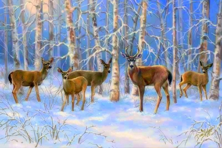 ★Majestic Winter★ - winter, creative pre-made, beautiful, paintings, snow, holidays, lovely, xmas and new year, moonlight, deer, white trees, Christmas, love four seasons, animals, wildlife