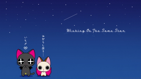 Wishing On The Same Star - anime, nyanpire, neko, hd, text, wishing, quad, cat