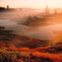 Yellowstone National Park -  Wyoming - USA