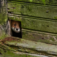 I see you!