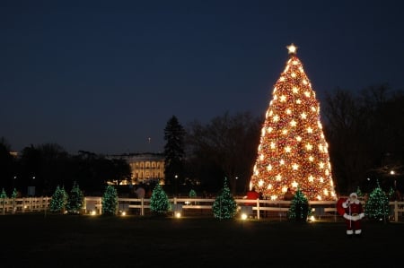 Christmas at the White House - la, alba, craciun, casa