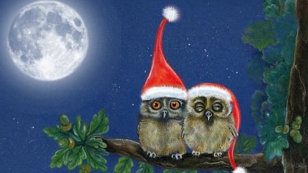 Snowy Winter Owls - fulle moon, sky, owls, branch, winter, tree, christmas, birds