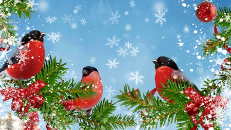 Winter Bright  Finches - birds, winter, snowflakes, snow, tree, berries, bull finches, Christmas, sky