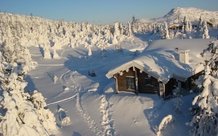 cabin - snow, wallp, winter, cabin