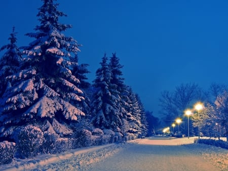 snowy road - winter, nature, wallp, road