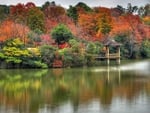 Lake reflection