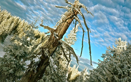 Nature,mountain,sky - landscap, nature, mountain