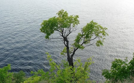 Beautyful LAKE - lake, landscap, nature