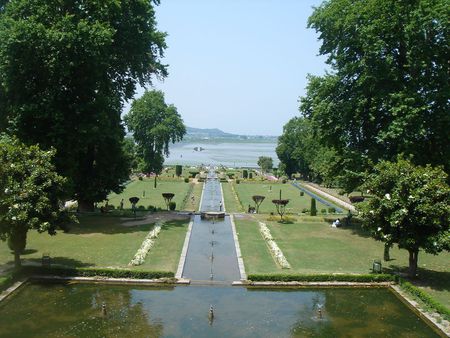 Nature Park - landscap, flowers, nature