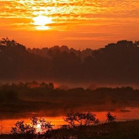 Muscatatuck National Park, Indiana
