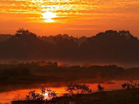 Muscatatuck National Park, Indiana - national park, sunrise, indiana