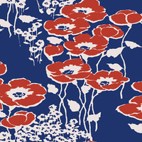 Red n' blue poppies