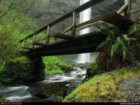 Bridge and Waterfall - wooden bridge, trees, waterfall