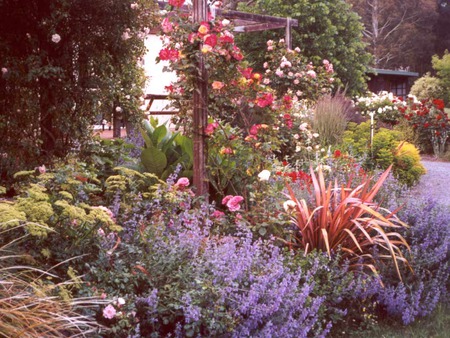 Flower Garden - flowers, wooden structure, garden