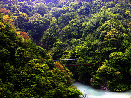 Kurobe Gorge - gorge, bridge, forest, waterway