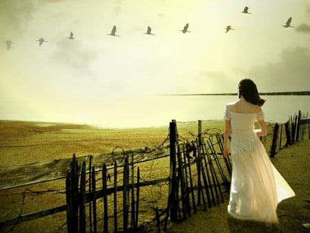 Autumn Stroll - old fence, lady, birds in flight, walking, field, misty