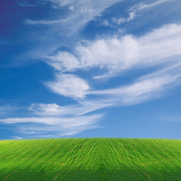 Green field under blue skies