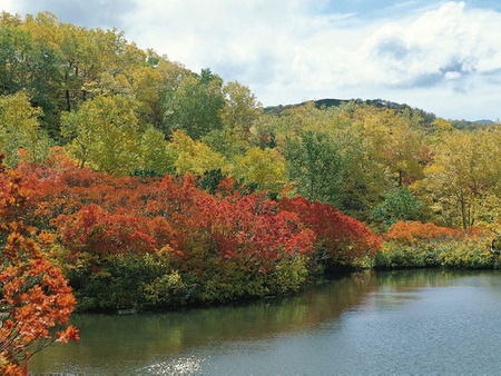 Forest Lake - autumn colours, lake, forest, russet leaves