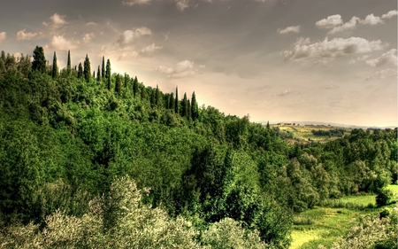 i paesaggi di leonardo da vinci - passage, green