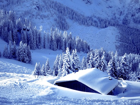 Snowy Cabin  - alps, wilderness, beauty, snowy winter, forest, nature, eath, cabins, mountains