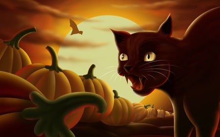 Black Cat and Pumpkins - black cat, bonfires, ghost tours, cat, pumpkin, haunted, halloween, celtic festival, pumpkins, full moon, haunted attractions, bat, costume parties, spooky