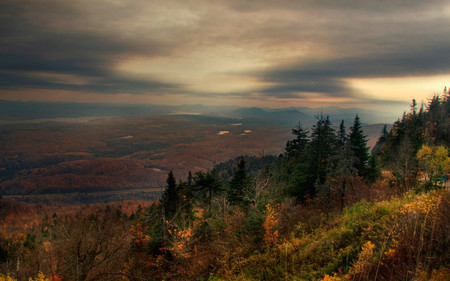 Mountain Ridge - dismal day, pine trees, mountains, ridge