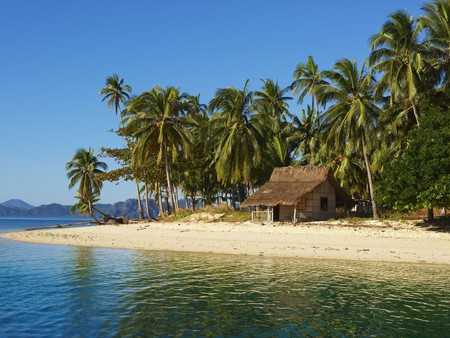 House on the riviera - palms, riviera, tropical, coast, beach, cabin, paradise, hut