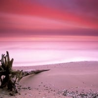 Pink Beach Sky