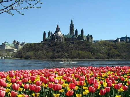 Coastal Buildings - ocean, spring tulips, castle, buildings, coast