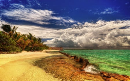 Promised Land - palms, tropical, beach, island, paradise, huts, green sea