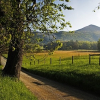 Country Lane