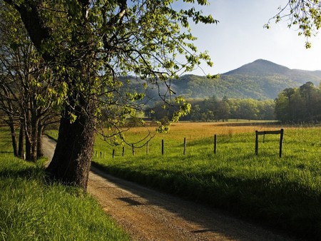 Country Lane - trees, fencing, lane, road, mountains, pasture, country