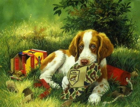 ..Puppy with Cap.. - puppy, cap, animals, draw and paint, lovely, creative pre-made, love four seasons, pretty, dogs, colors, paintings, cute